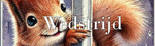 00aeekhoorn+raam1-1…