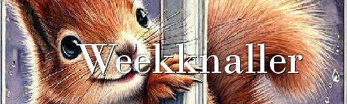 00aeekhoorn+raam1-1…