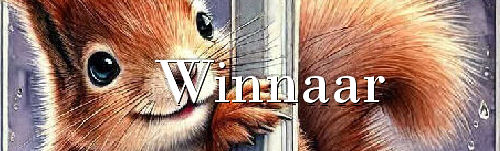 00aeekhoorn+raam1-1…