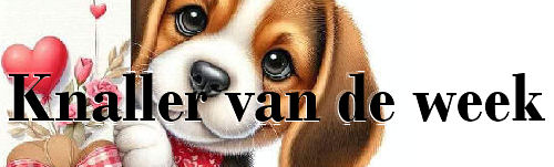 00adog+love+knaller…