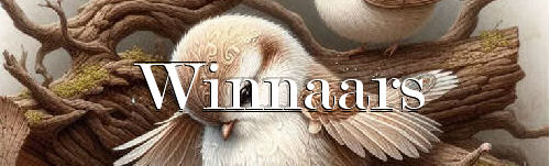 00abirds+winnaars.j…