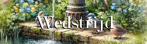 00abird+2+wedstrijd…