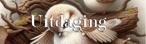 00abirds+uitdaging.…