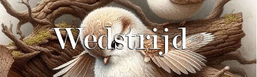 00abirds+wedstrijd.…